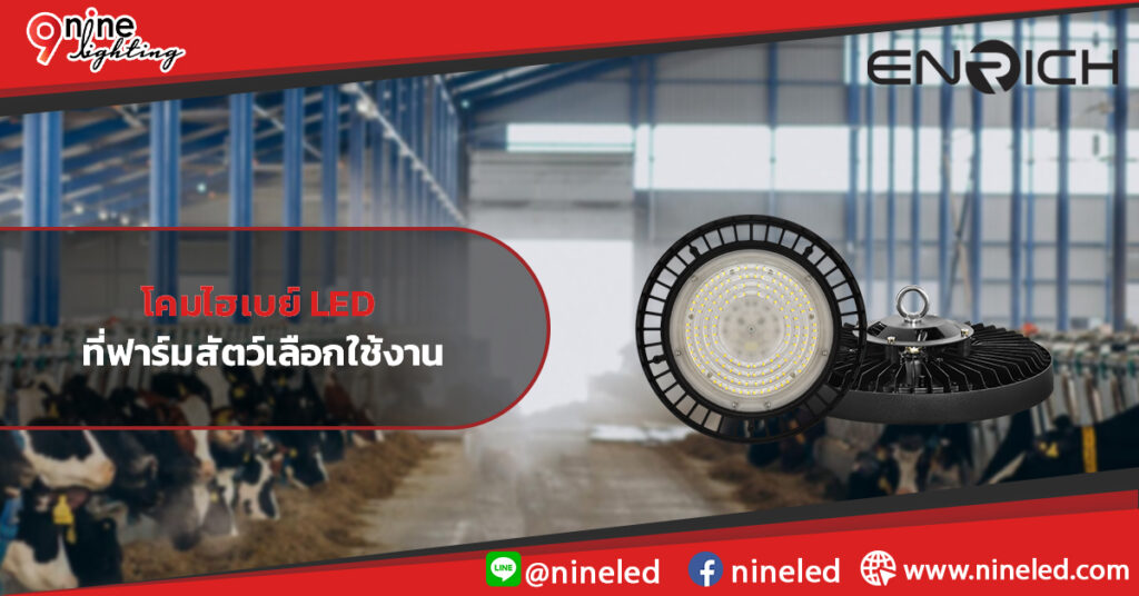 การเลือกโคมไฮเบย์-LED-สำหรับฟาร์มสัตว์