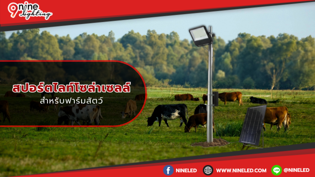 สปอร์ตไลท์โซล่าเซลล์สำหรับฟาร์มสัตว์